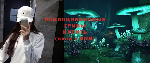 МДМА Богородск