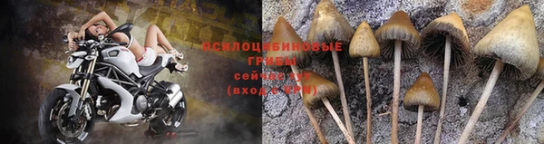 кокс Богданович